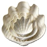 Seafare Oyster 3-pc. Stack 'n Server Set by Boston Warehouse