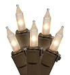 Set of 100 Clear Frosted Mini Christmas Lights - Brown Wire