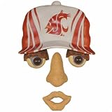 Washington State Cougars Forest Face