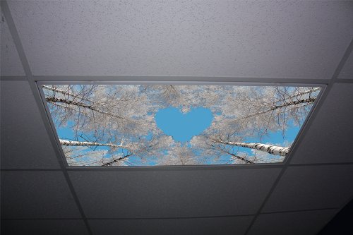 Forest Love Skypanels - Replacement Fluorescent Light Diffuser