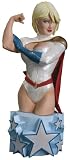 Women of the DC Universe Power Girl Bust 誕生日