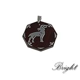 316L Stainless Steel Pendant - Capricorn
