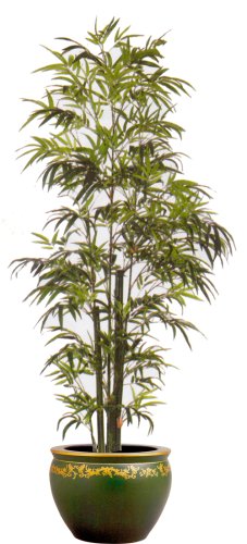 9ft BAMBOO TREE