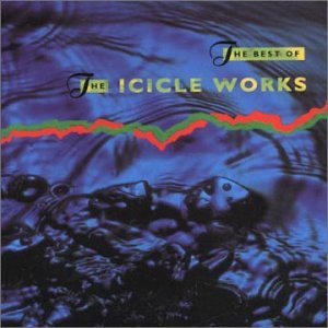 ICICLE WORKS - Best of the Icicle Works - Zortam Music