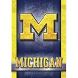 Michigan Wolverines NCAA Large Impressions Polyester Flag