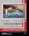 General Quarters Naval Wargaming: Fleet Action Expansion Imminent (Loose Leaf)