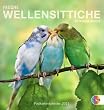 Freche Wellensittiche 2011. Postkartenkalender