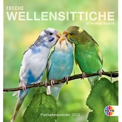 Freche Wellensittiche 2011. Postkartenkalender