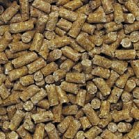 Lafeber's Premium Daily Diet Bird Food for Parrots by Lafeber's