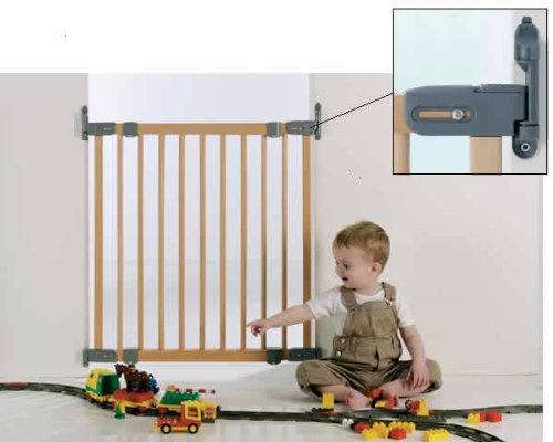 BabyDan Flexi Fit Gate