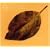 DEEN Classics Two SEPIA �H��~more & more~