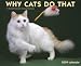 Why Cats Do That Calendar: A 12-Month Collection of Curious Kitty Quirks
