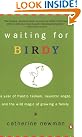 Waiting for Birdy...