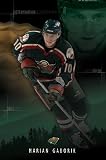 MARIAN GABORIK MINNESOTA WILD POSTER 22.5x34 3283