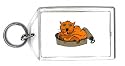 Keychain with can, eating, sardine, cat, food