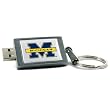 Michigan Wolverines 4GB Datastick USB Keychain