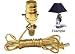 Make a Lamp From Your Favorite Wine Bottle With This Instant Ready-To-Use Lamp Kit (Set of 2) Image