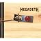 Learn about Megadeth?