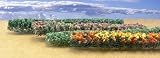 JTT Flower Hedges HO-Scale (Green, Assorted)