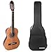 Classical Guitar with Soft Nylon Strings by Hola! Music, Half 1/2 Size 34 Inch for Junior Kids Model HG-34GLS, Natural Gloss Finish - FREE Padded Gig Bag Included