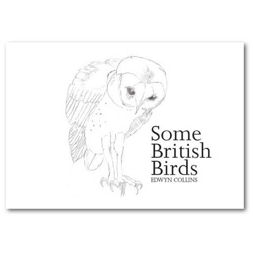 Edwyn Collins Birds