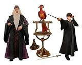 Harry Potter and Dumbledore Year 2 Box Set