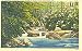 Trout Stream Caledonia Pa Postcard