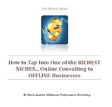 41ZYoKrGDUL. SL160  How to Tap Into One of the RICHEST NICHES... Online Consulting to OFFLINE Businesses