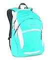 JanSport Wasabi Core Series Backpack, Calypso Blue/White