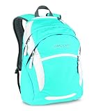 JanSport Wasabi Core Series Backpack, Calypso Blue/White