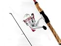 Shakespeare Ladyfish Spin Combo 5'6" Med Action 6-12 lb