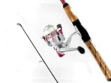 Shakespeare Ladyfish Spinning Combo