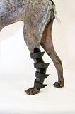 Canine X-Large Hock Splint
