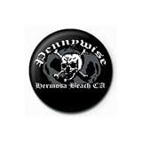 Merchandise - Pennywise - Buttons Skull´n Bones (in 2,5 cm) von Pennywise