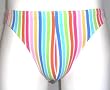 Mens Thong Swimwear/Underwear Nylon/Lycra RainbowStripe