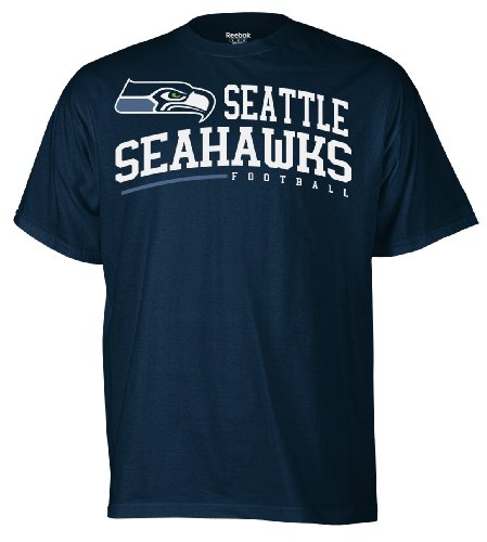 NFL Men's Seattle Seahawks Arched Horizon Tee Shirt (Regal Purple, Medium)