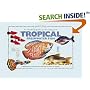 An Essential Guide to Choosing Your Tropical Freshwater Fish (Tankmaster)