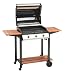 Premier California III Gas Barbecue