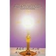 Akita: Mother of God As Coredemptrix Modern Miracles of Holy Eucharist by Francis Mutsuo Fukushima