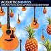 Various-Acoustic Moods cd cover