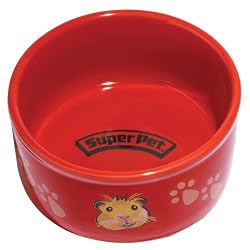 Super Pet Paw-Print PetWare Bowl, Guinea Pig, Colors Vary