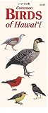 Common Birds of Hawaii (Hawaii Pocket Guides) (Hawaii Pocket Guides)