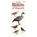 Common Birds of Hawaii (Hawaii Pocket Guides)