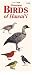 Common Birds of Hawaii (Hawaii Pocket Guides) (Hawaii Pocket Guides)
