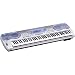 Casio WK-3100 76 Key Professional Quality Touch Sensitive Keyboard with Internet Data Expansion System