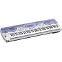 Casio WK-3100 76 Key Professional Quality Touch Sensitive Keyboard with Internet Data Expansion System