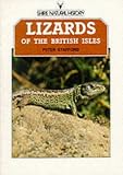 Lizards of the British Isles (Shire natural history)