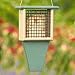 Forest Friend<sup>TM</sup> Suet Feeder