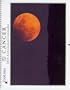 Cancer 2010 Starlines Astrological Calendar