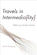 Travels in Intermedia[lity]: ReBlurring the Boundaries (Interfaces: Studies in Visual Culture)